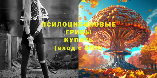 гидропоника Навашино