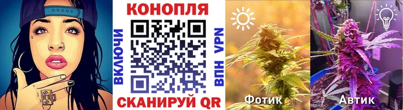 Конопля White Widow Благовещенск